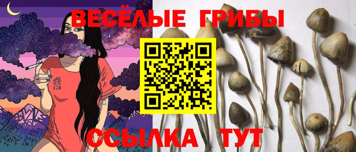 Галлюциногенные грибы мухоморы  Вход с VPN  Артём 